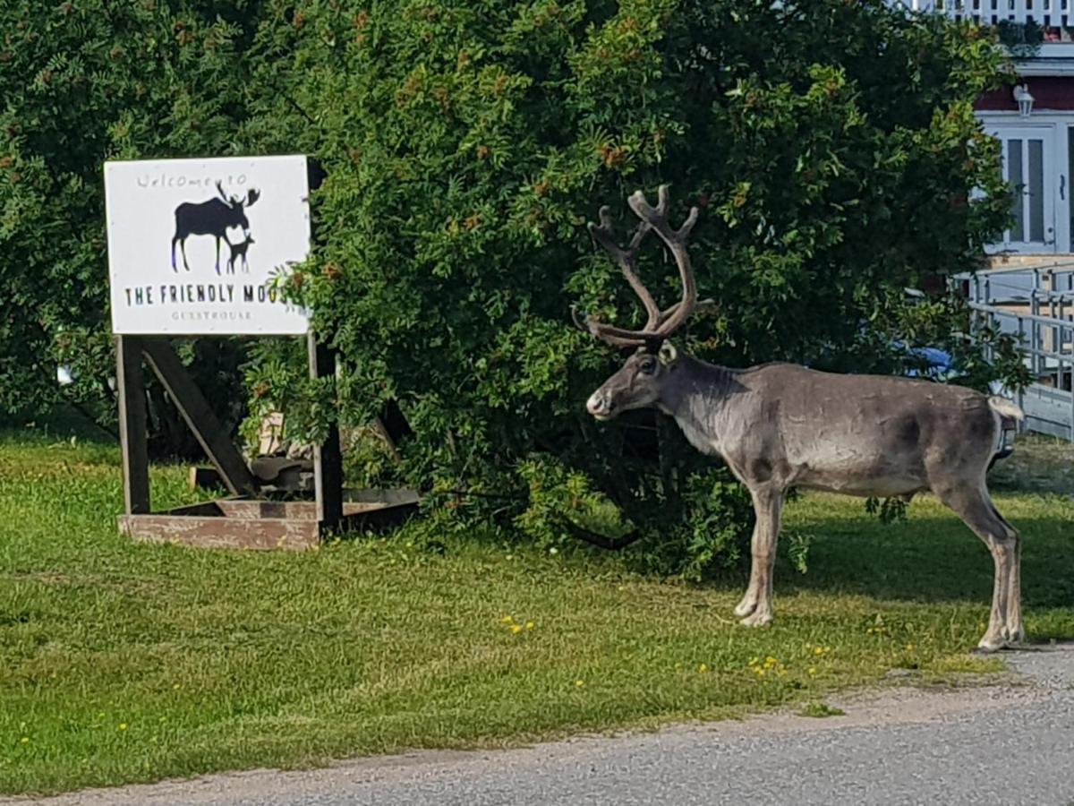 Hotel The Friendly Moose Overtornea Exterior foto
