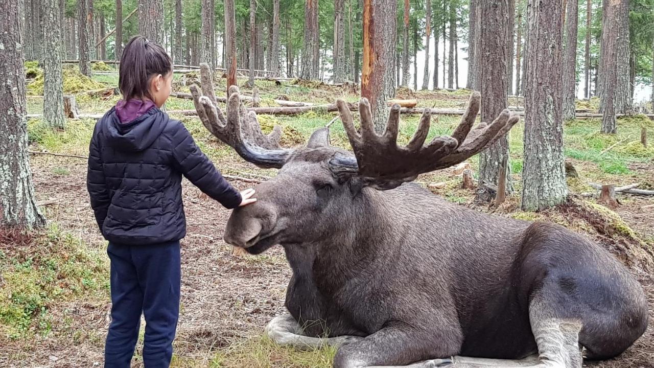 Hotel The Friendly Moose Overtornea Exterior foto